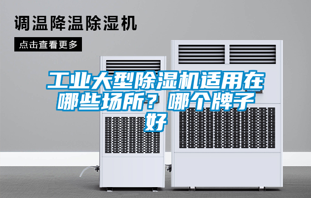 工業大型91看片在线下载機適用在哪些場所？哪個牌子好