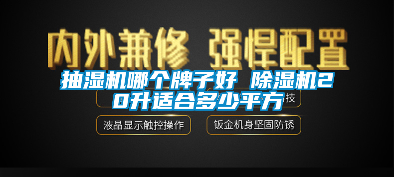 抽濕機哪個牌子好 91看片在线下载機20升適合多少平方
