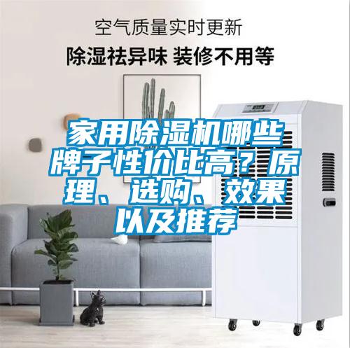 家用91看片在线下载機哪些牌子性價比高？原理、選購、效果以及推薦