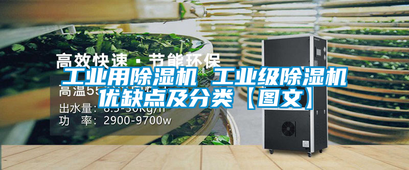 工業用91看片在线下载機 工業級91看片在线下载機優缺點及分類【圖文】