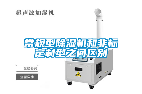 常規型91看片在线下载機和非標定製型之間區別