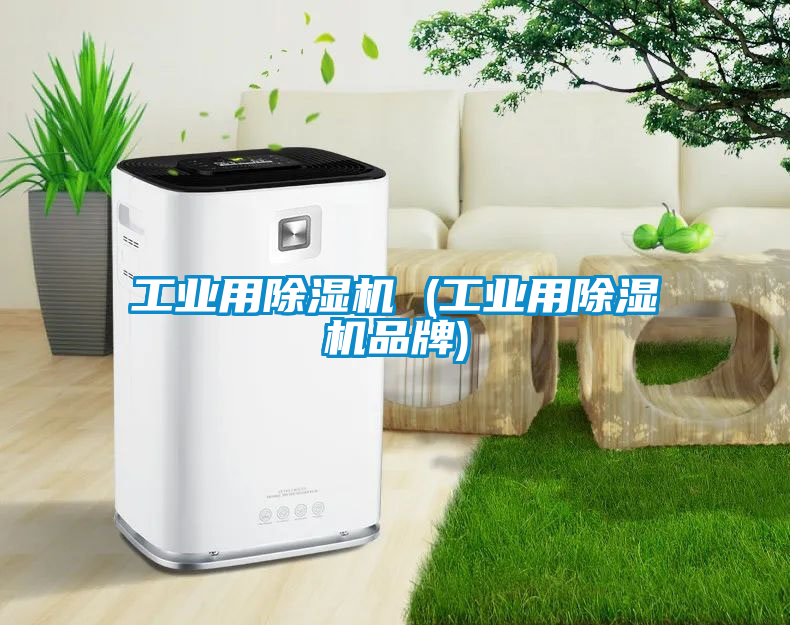 工業用91看片在线下载機 (工業用91看片在线下载機品牌)