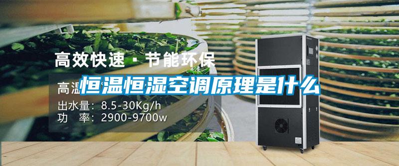 恒溫恒濕空調原理是什麽