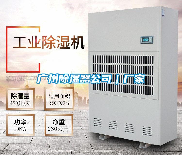 廣州91看片在线下载器公司｜廠家
