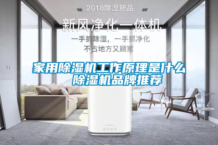 家用91看片在线下载機工作原理是什麽  91看片在线下载機品牌推薦