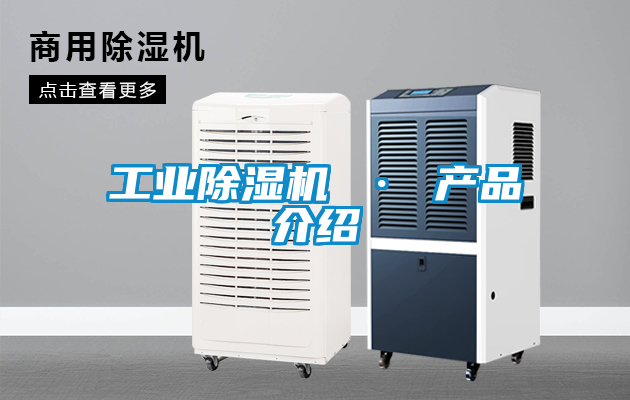 工業91看片在线下载機 · 產品介紹