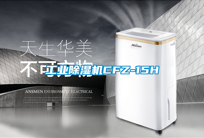 工業91看片在线下载機CFZ-15H