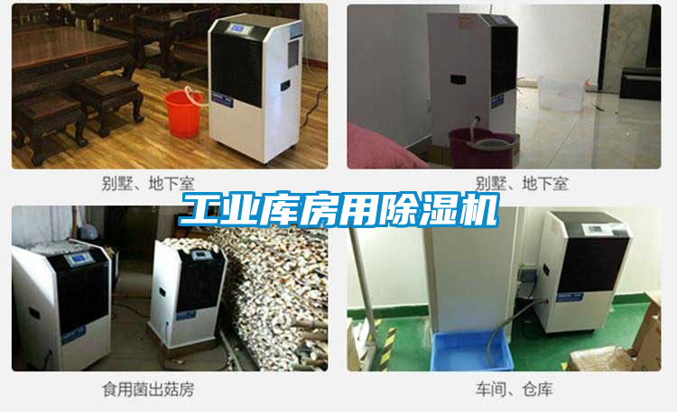 工業庫房用91看片在线下载機