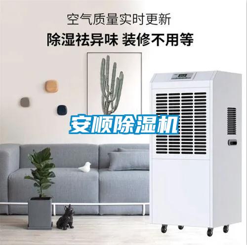 安順91看片在线下载機
