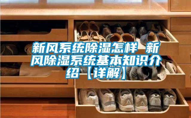 新風係統91看片在线下载怎樣 新風91看片在线下载係統基本知識介紹【詳解】