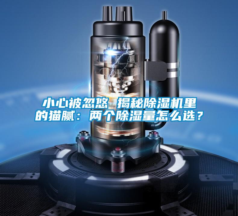 小心被忽悠 揭秘91看片在线下载機裏的貓膩：兩個91看片在线下载量怎麽選？