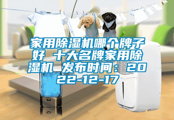 家用91看片在线下载機哪個牌子好 十大名牌家用91看片在线下载機 發布時間：2022-12-17