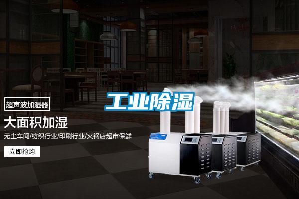 工業91看片在线下载