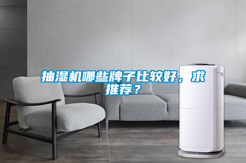 抽濕機哪些牌子比較好，求推薦？