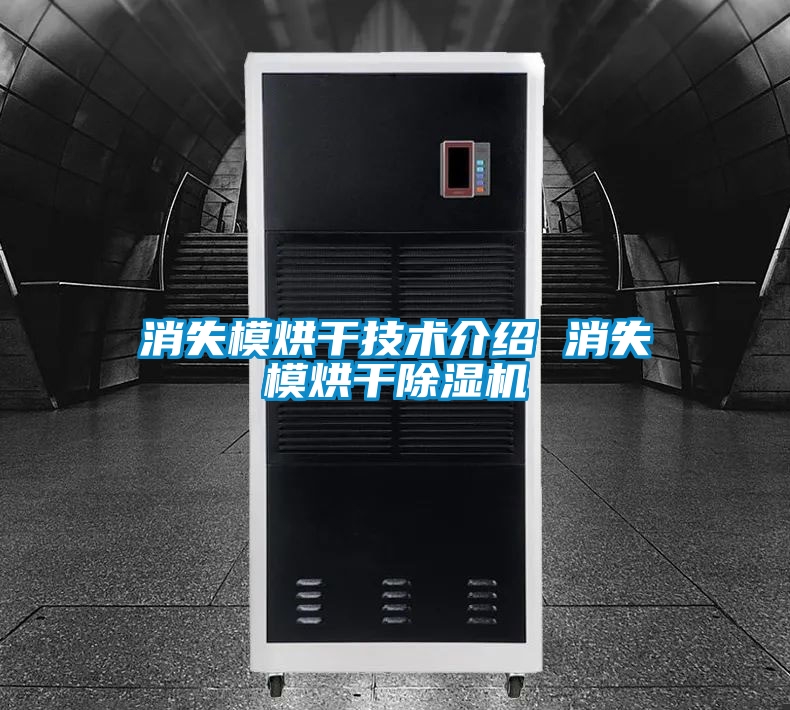 消失模烘幹技術介紹 消失模烘幹91看片在线下载機