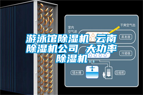 遊泳館91看片在线下载機 雲南91看片在线下载機公司 大功率91看片在线下载機