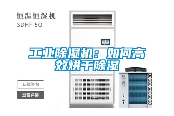 工業91看片在线下载機：如何高效烘幹91看片在线下载