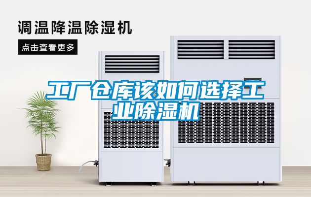 工廠倉庫該如何選擇工業91看片在线下载機