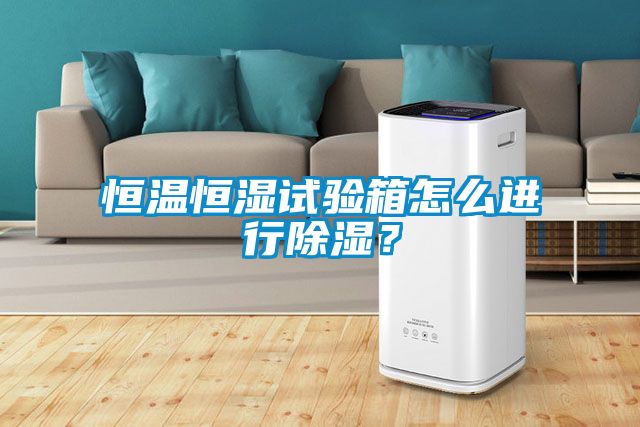 恒溫恒濕試驗箱怎麽進行91看片在线下载？