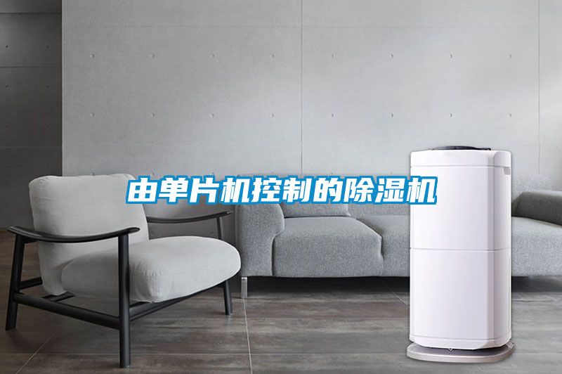 由單片機控製的91看片在线下载機
