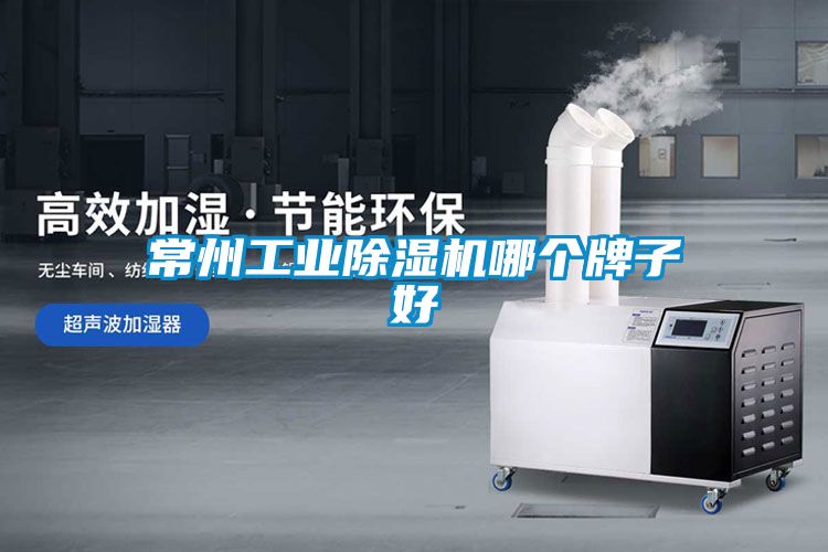 常州工業91看片在线下载機哪個牌子好