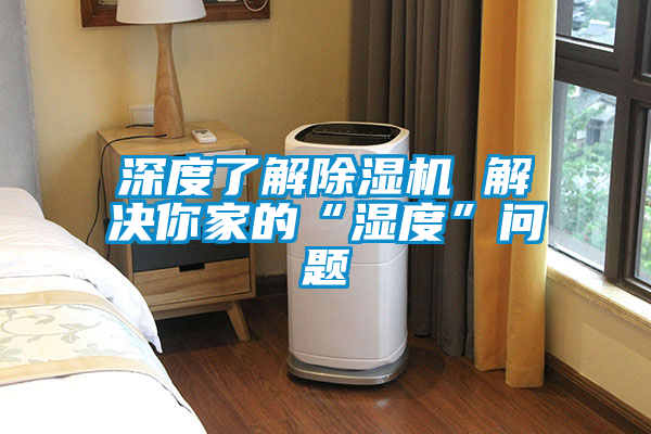 深度了解91看片在线下载機 解決你家的“濕度”問題