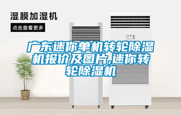 廣東迷你單機轉輪91看片在线下载機報價及圖片,迷你轉輪91看片在线下载機