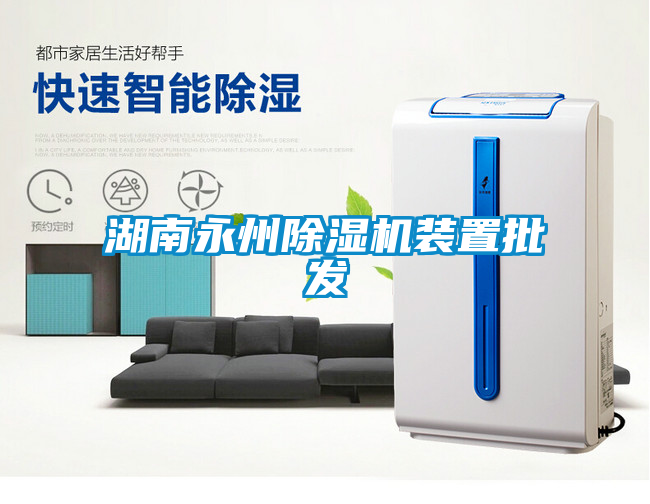 湖南永州91看片在线下载機裝置批發