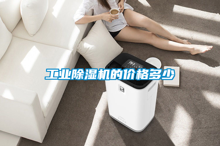 工業91看片在线下载機的價格多少