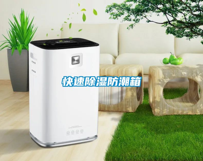 快速91看片在线下载防潮箱