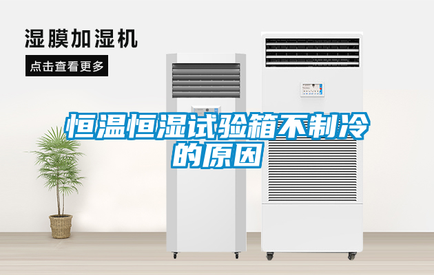恒溫恒濕試驗箱不製冷的原因