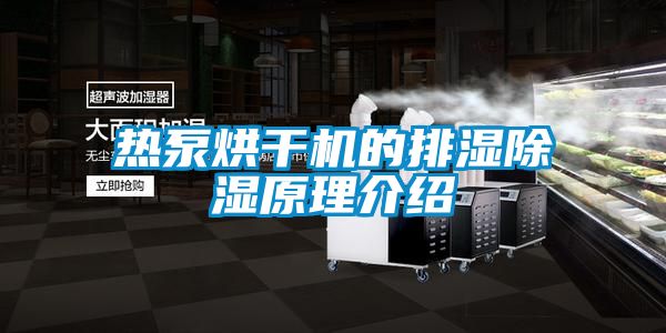 熱泵烘幹機的排濕91看片在线下载原理介紹