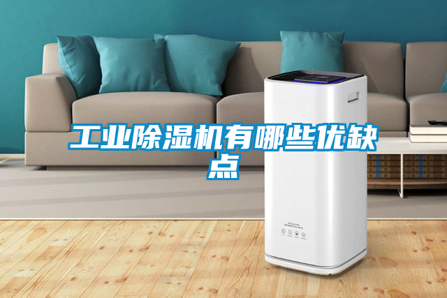 工業91看片在线下载機有哪些優缺點