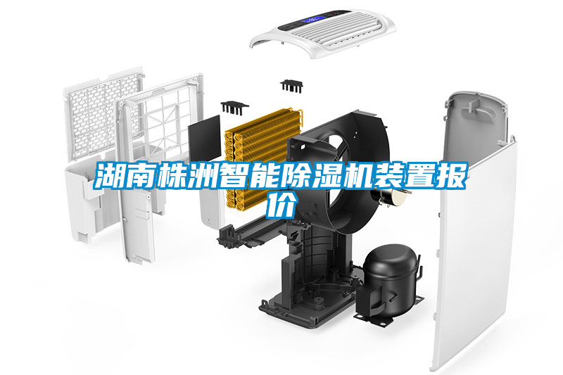 湖南株洲智能91看片在线下载機裝置報價
