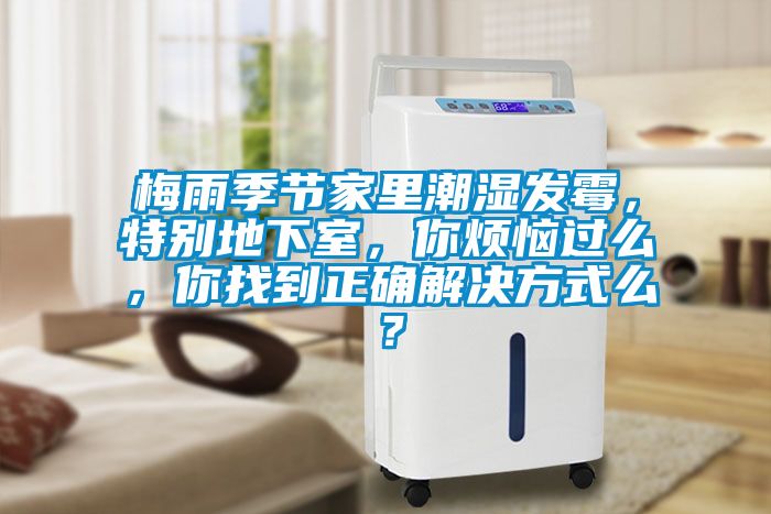 梅雨季節家裏潮濕發黴，特別地下室，你煩惱過麽，你找到正確解決方式麽？