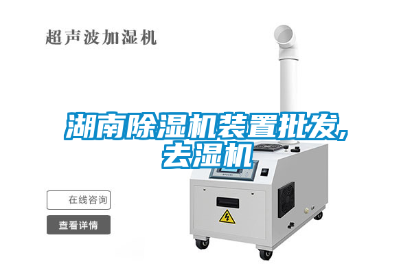 湖南91看片在线下载機裝置批發,去濕機