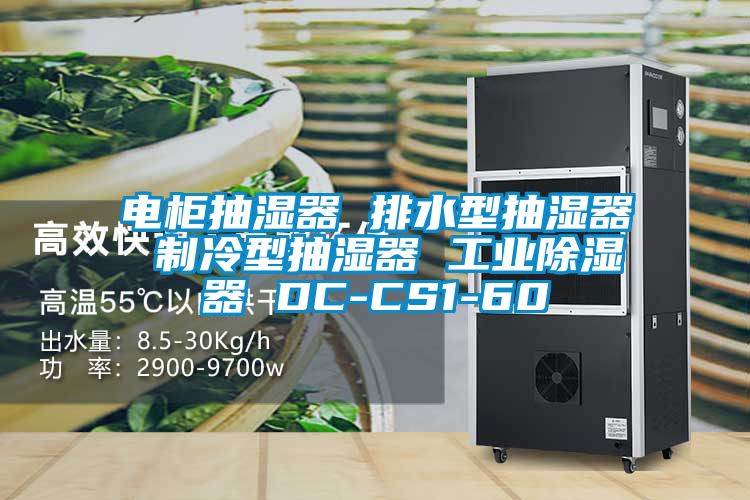 電櫃抽濕器 排水型抽濕器 製冷型抽濕器 工業91看片在线下载器 DC-CS1-60