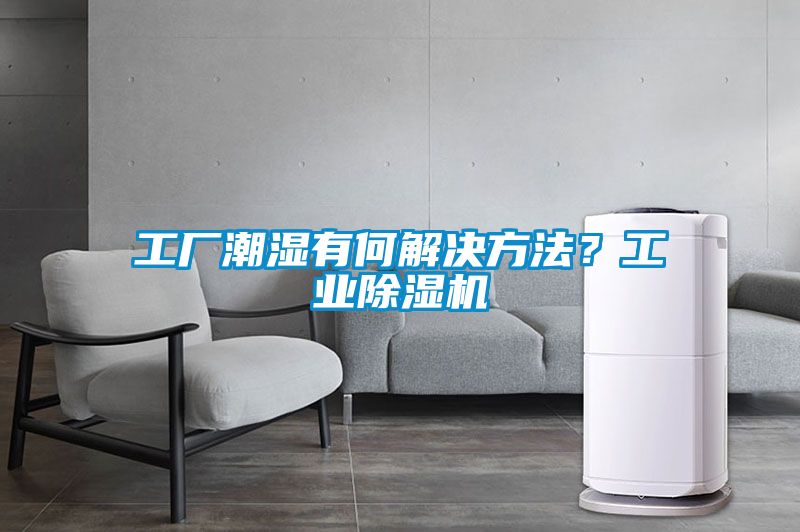工廠潮濕有何解決方法？工業91看片在线下载機