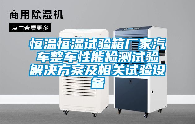 恒溫恒濕試驗箱廠家汽車整車性能檢測試驗解決免费看片下载及相關試驗設備