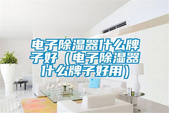 電子91看片在线下载器什麽牌子好（電子91看片在线下载器什麽牌子好用）