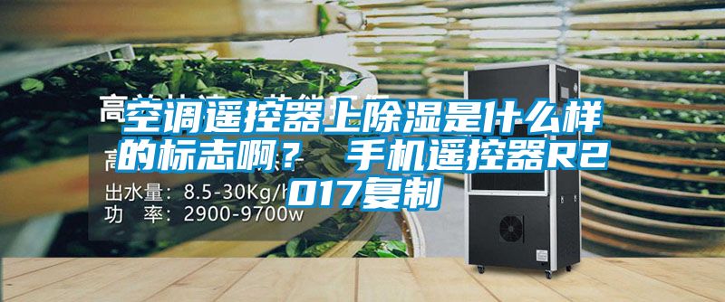 空調遙控器上91看片在线下载是什麽樣的標誌啊？ 手機遙控器R2017複製