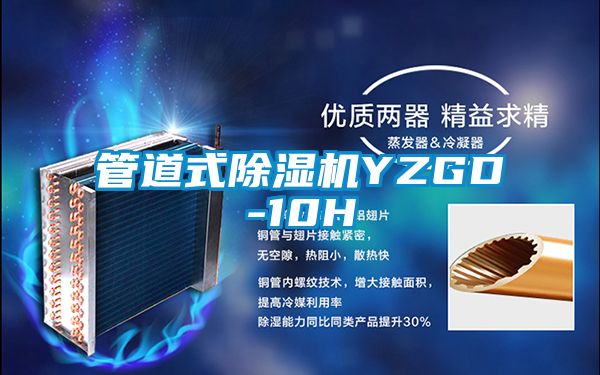 管道式91看片在线下载機YZGD-10H