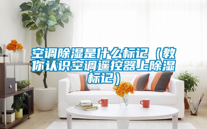空調91看片在线下载是什麽標記（教你認識空調遙控器上91看片在线下载標記）