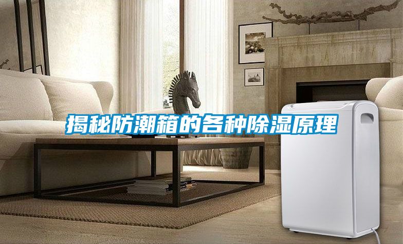 揭秘防潮箱的各種91看片在线下载原理