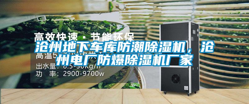 滄州地下車庫防潮91看片在线下载機，滄州電廠防爆91看片在线下载機廠家