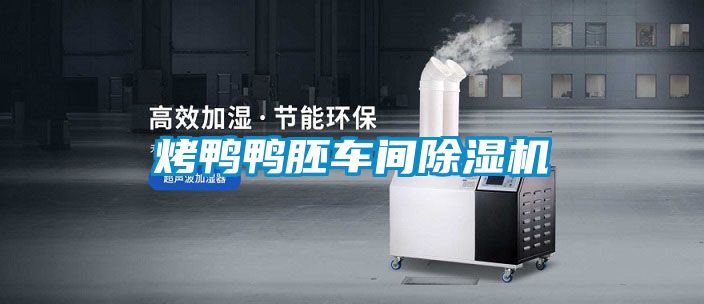 烤鴨鴨胚車間91看片在线下载機