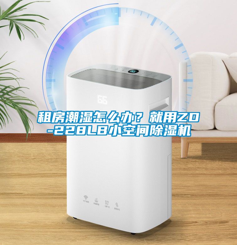 租房潮濕怎麽辦？就用ZD-228LB小空間91看片在线下载機