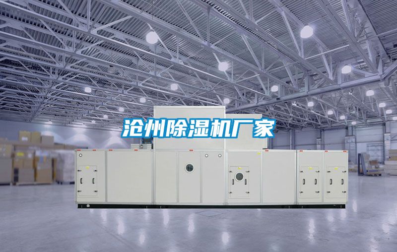滄州91看片在线下载機廠家
