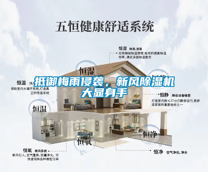 抵禦梅雨侵襲，新風91看片在线下载機大顯身手