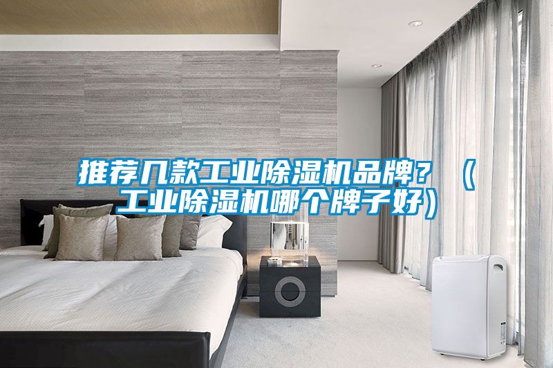 推薦幾款工業91看片在线下载機品牌？（工業91看片在线下载機哪個牌子好）